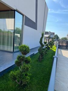 En have udenfor KNIGHT Resort