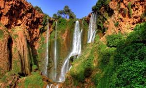 Φυσικό τοπίο κοντά σε αυτό το διαμέρισμα