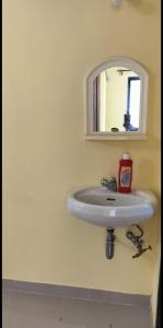 ein Badezimmer mit Waschbecken und Spiegel in der Unterkunft palolem beach residency in Canacona