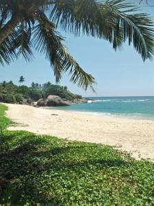 Příroda nedaleko ubytování v soukromí