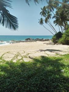 Příroda nedaleko ubytování v soukromí