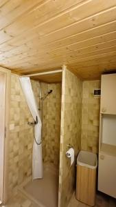 Koupelna v ubytování Apartment Steini since 1574