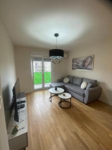 波德戈里察Alex 2210的客厅里有一张沙发和一台电视