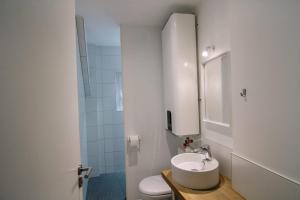 a bathroom with a sink and a toilet and a mirror at Koala Surf House, en bord d'Océan, planches de surf et skates à disposition in Hossegor +21 photos
