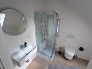 a bathroom with a shower and a sink and a toilet at Bothfeld Suite in Hannover