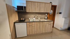 een kleine keuken met een spoelbak en een magnetron bij Turecka 49 Apt 2 in Nové Zámky