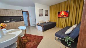 a large living room with a bed and a sink at Turecka 49 Apt 2 in Nové Zámky