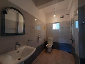 a bathroom with a sink and a toilet and a mirror at Green Villa Ella in Ella