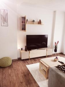 TV a/nebo společenská místnost v ubytování ONYX Apartments