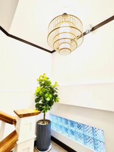 a ceiling fan and a potted plant in a room at Demi Cafe and Hostel in Vientiane