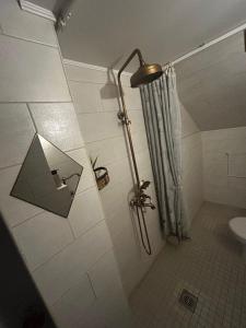 a bathroom with a shower with a toilet and a sink at Appartement in Oberschaeffolsheim