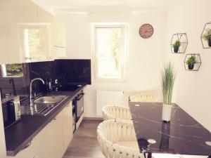 Kuchyň nebo kuchyňský kout v ubytování ONYX Apartments