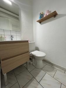 a bathroom with a toilet and a sink at Appartement pour 4 personnes - Piau Engaly in Aragnouet +6 photos