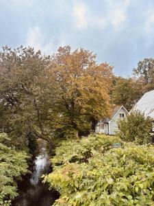 a river with a house in the background with trees at Stuga på hästgård in Svenstorp +14 photos