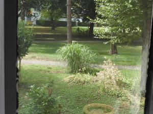 Zahrada ubytování ONYX Apartments