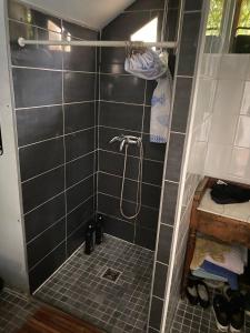 a bathroom with a shower with black tiles at Chambre privée autonome in Ouilly-du-Houley +2 photos