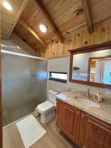 a bathroom with a toilet and a sink and a mirror at Pousada Pattis in Treze Tílias +40 photos