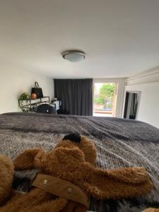 Ένα ή περισσότερα κρεβάτια σε δωμάτιο στο The Scheveningse Meisjes +27 φωτογραφίες