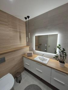 Koupelna v ubytování Aurora Sky Home with private sauna + 29 fotografií