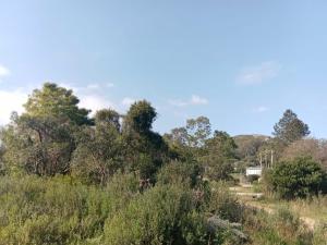 Φυσικό τοπίο κοντά σε αυτή η παραθεριστική κατοικία