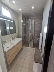 un bagno con doccia, lavandino e specchio di Magnifique studio au pied des plages a Cannes Altre 19 foto