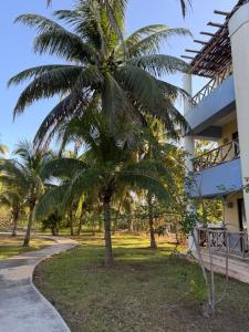 a palm tree in front of a building at Hotel Manglares Celestun in Celestún