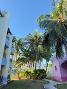 a walkway between two buildings with palm trees at Hotel Manglares Celestun in Celestún