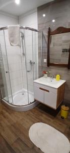 a bathroom with a shower and a sink at Cichy Zaułek 9A in Brodnica