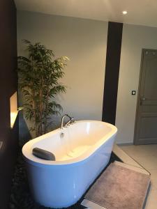 a white bath tub in a bathroom with a plant at Nouveauté 2026 piscine chauffée - Le gîte de SoleilMapou pour 12 personnes en Normandie près de Fécamp et d'Etretat, idéal grandes tribus, vous pouvez me contacter sur Les gîtes de SoleilMapou in Ganzeville +52 photos