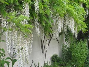 Zahrada ubytování La FALLONNIERE