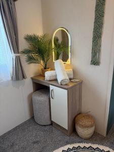 a bathroom with a vanity with a mirror and a plant at Luxury Caravan, On the beach in Redcar