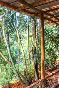 Aed väljaspool majutusasutust The Quill Ella