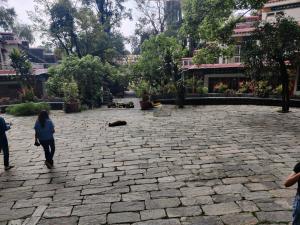 a group of people walking around a stone courtyard at Smart Hotels in Dalhousie