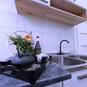 Kuchyň nebo kuchyňský kout v ubytování Heroina