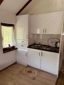 Kuchyň nebo kuchyňský kout v ubytování Apartments & Homes with the river Una view + 28 fotografií