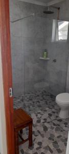a bathroom with a shower and a toilet at 5 Cliff Street in Agulhas