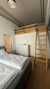 a bedroom with a bunk bed and a ladder at Apartmán U Hradu in Strakonice