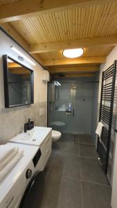 a bathroom with a sink and a toilet and a shower at Apartmán U Hradu in Strakonice
