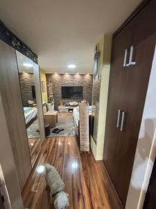 Η κουζίνα ή μικρή κουζίνα στο Apartman u Jevrejskoj