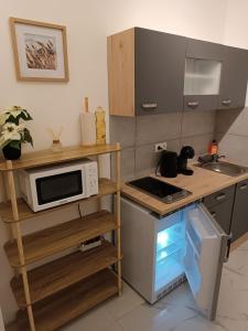 ノインキルヒェンにあるFamily Apartment Neunkirchen 2の小さなキッチン(電子レンジ、コンロ付)