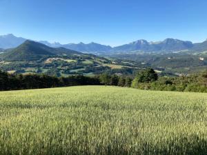 ein Feld aus grünem Gras mit Bergen im Hintergrund in der Unterkunft Maisonnette à la campagne in Roissard
