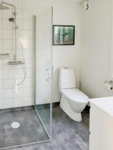 a bathroom with a toilet and a glass shower at Modern Loft House In The Woods Near Gullabo in Gullabo