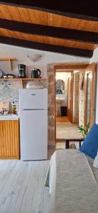 a kitchen with a white refrigerator in a room at Emvassis Art Nil in Elefterna +23 photos