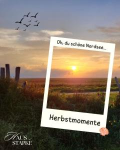 un'immagine di un tramonto con uccelli che volano nel cielo di Koje 2 a Wangerland