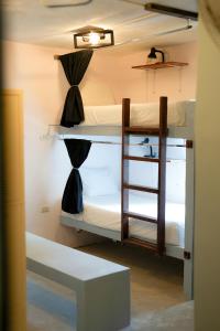 ホルボックス島にあるMapache Hostelの二段ベッド2台とベンチが備わる客室です。 +52枚の写真