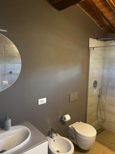 een badkamer met toilet, wastafel en douche bij Casa Rachele in Arezzo