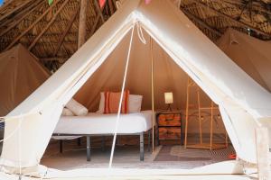 a bed in a tent in a room at Mapache Hostel in Holbox Island