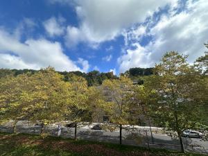 eine Gruppe von Bäumen vor einem Parkplatz in der Unterkunft Forêt Lausanne in Lausanne