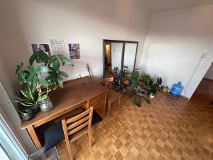 ein Zimmer mit einem Tisch und einem Haufen Topfpflanzen in der Unterkunft Forêt Lausanne in Lausanne