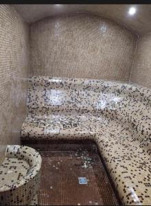 a bathroom with a tiled shower with a toilet at Aspen Luxury Apartamnet in Razlog